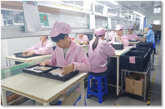 Inspection Line